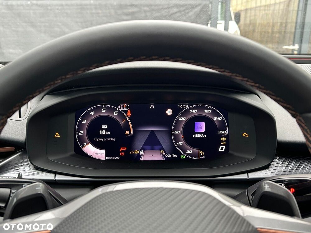 Cupra Terramar 2.0 TSI 4Drive DSG - 24