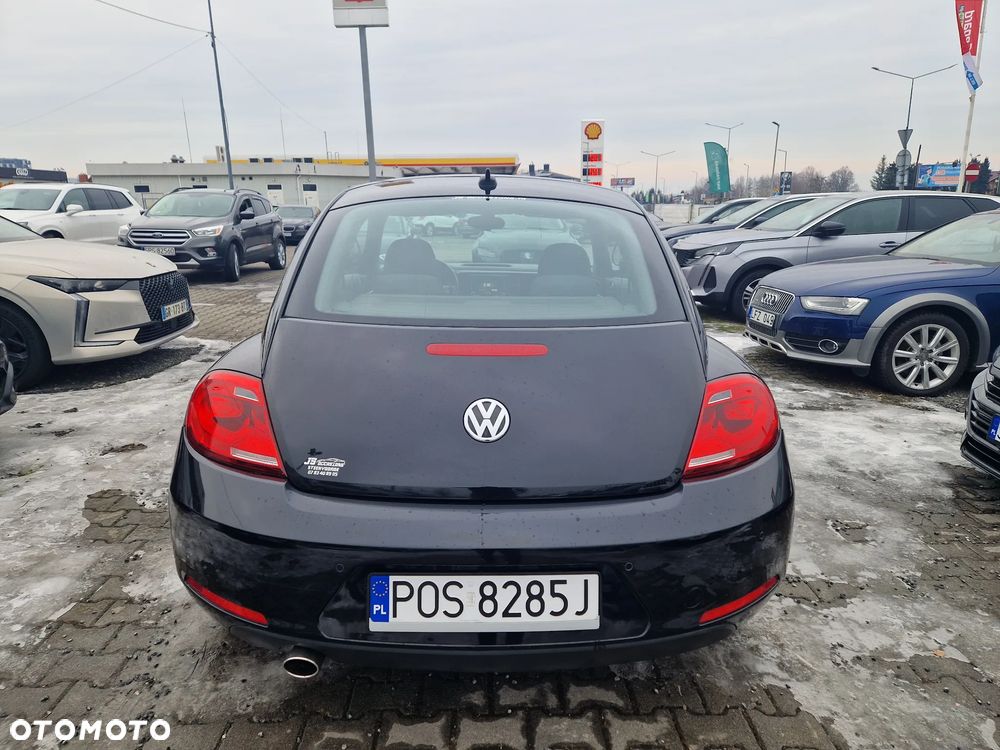 Volkswagen Beetle - 7