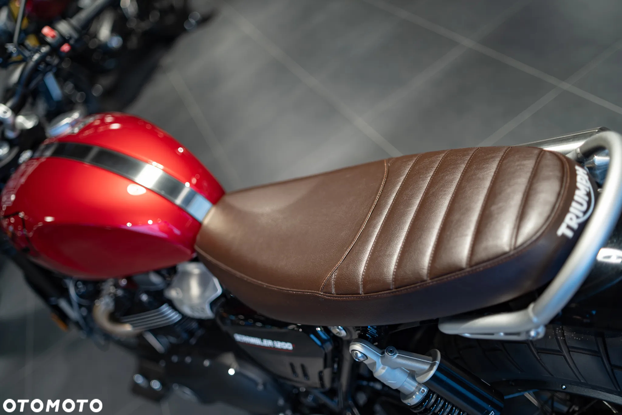 Triumph Scrambler - 18