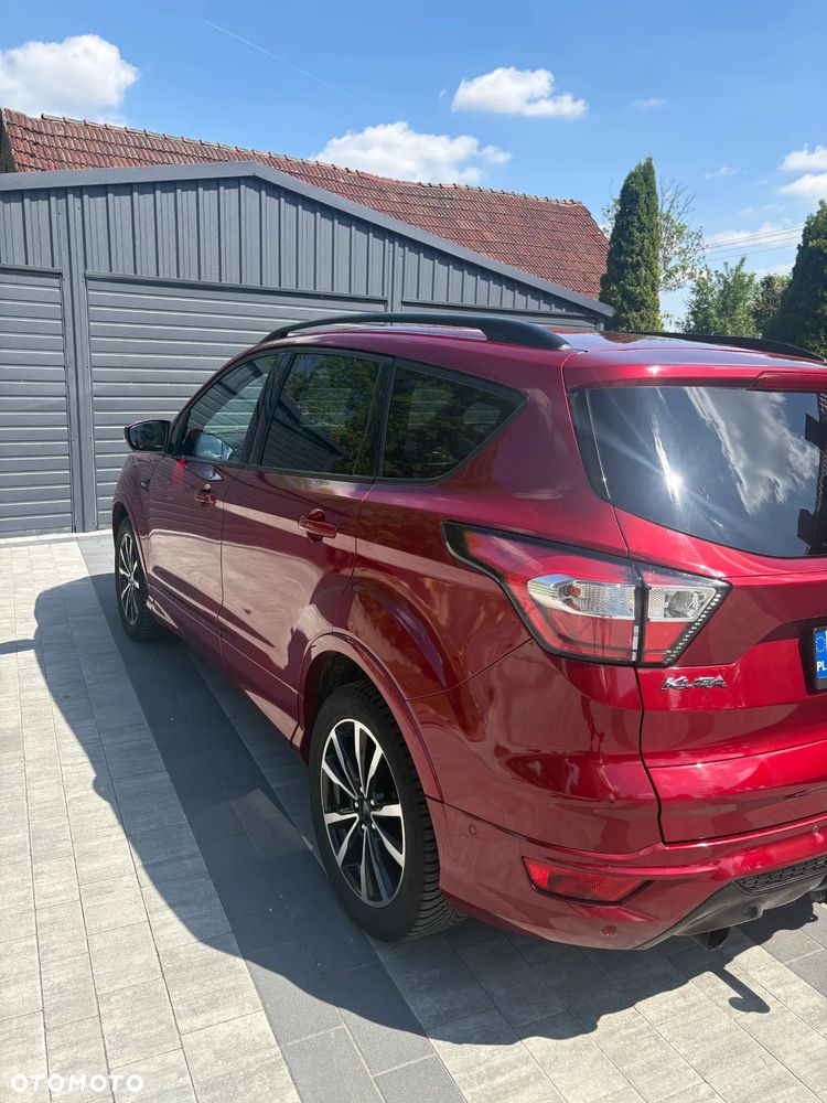 Ford Kuga 2019 photo 3