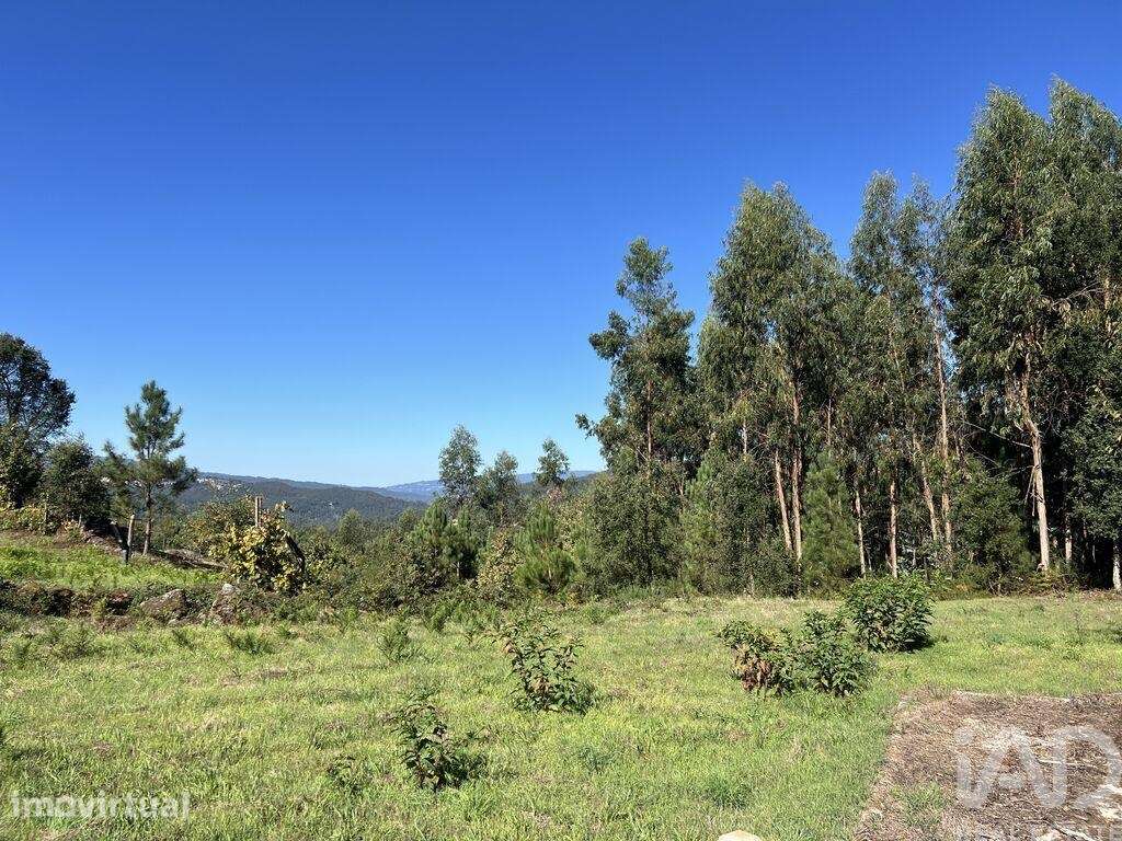 Terreno para construção em Serrazes - Grande imagem: 4/15