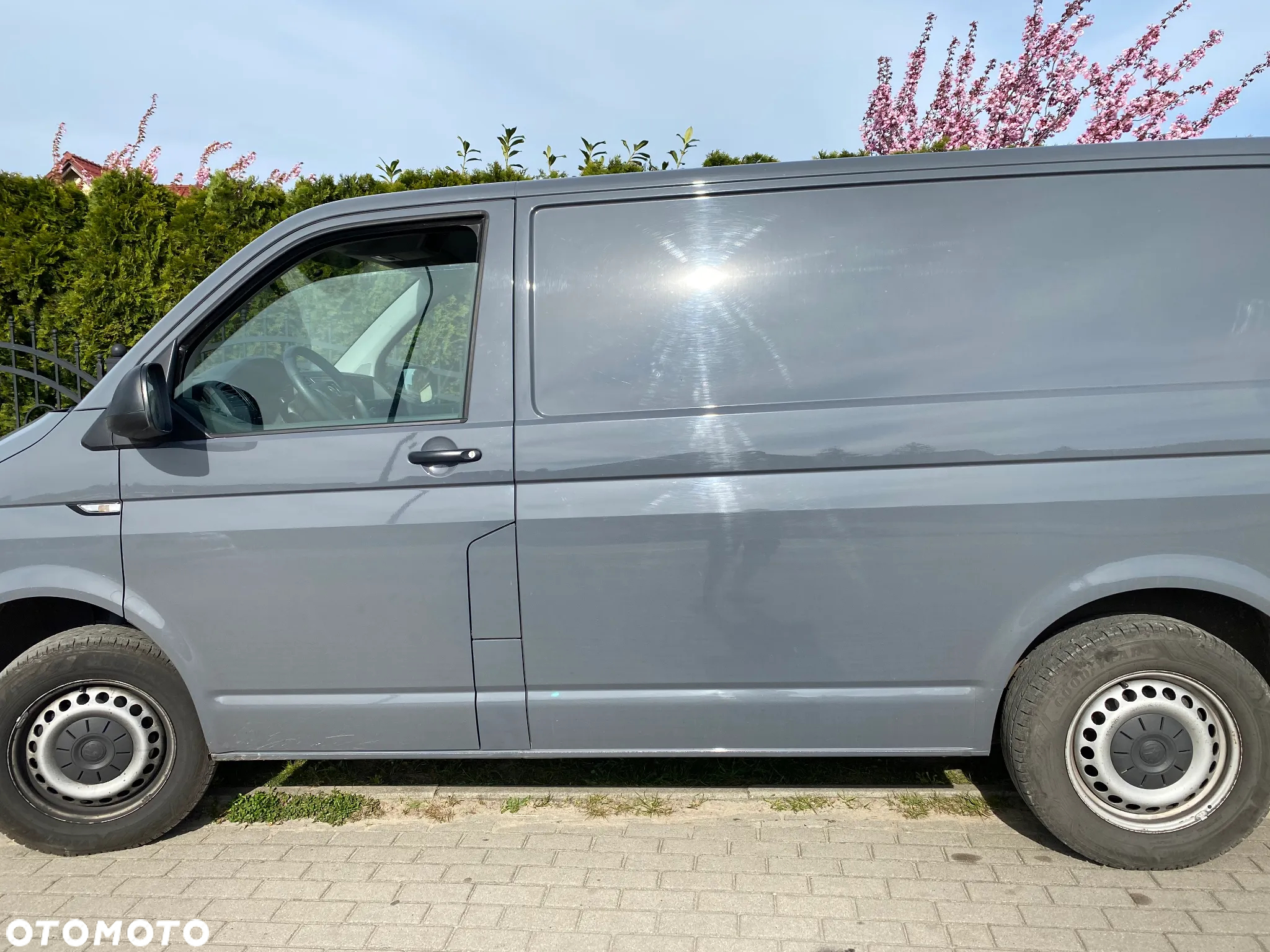 Volkswagen Transporter T6 - 3