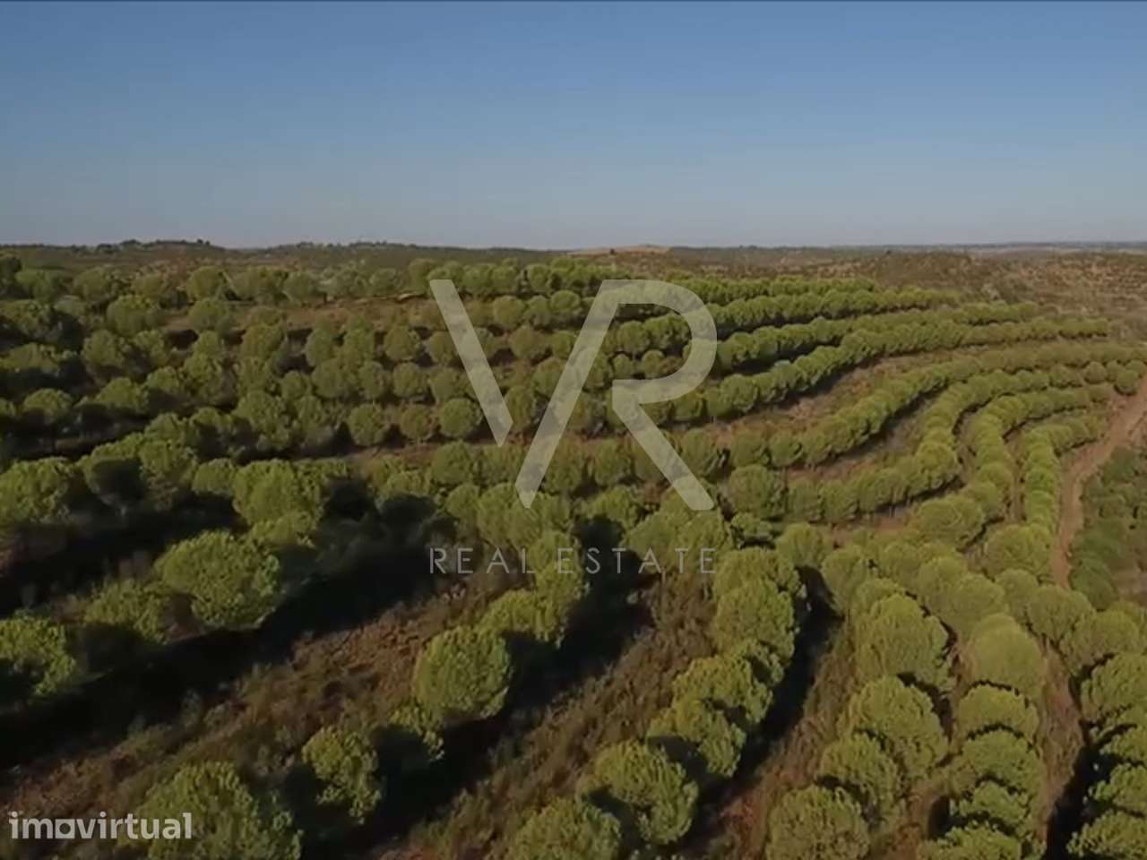 Herdade da Várzea do Escalda, localiza-se em Mértola - Grande imagem: 3/21
