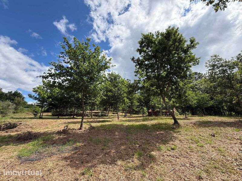 Terreno com aproximadamente 7000m² -  VISEU|SATÃO - Grande imagem: 2/12