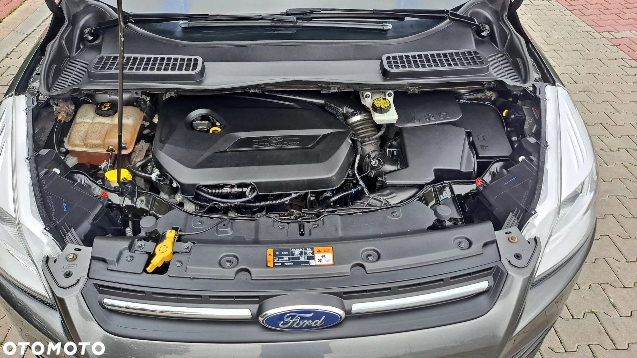 Ford Escape 1.5 EcoBoost AWD SE - 37