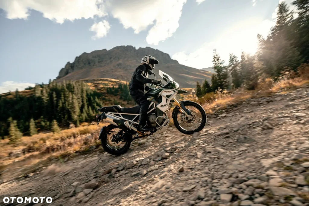 Triumph Tiger - 7