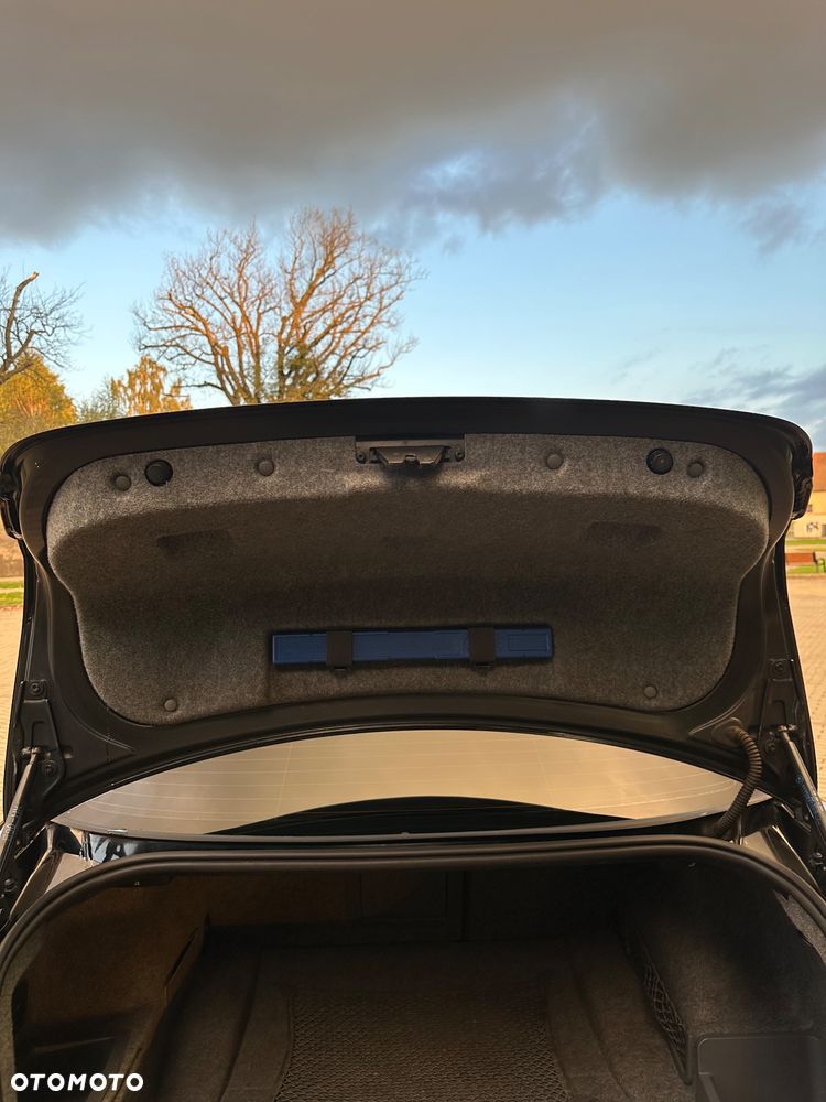 BMW Seria 3 320d DPF - 19