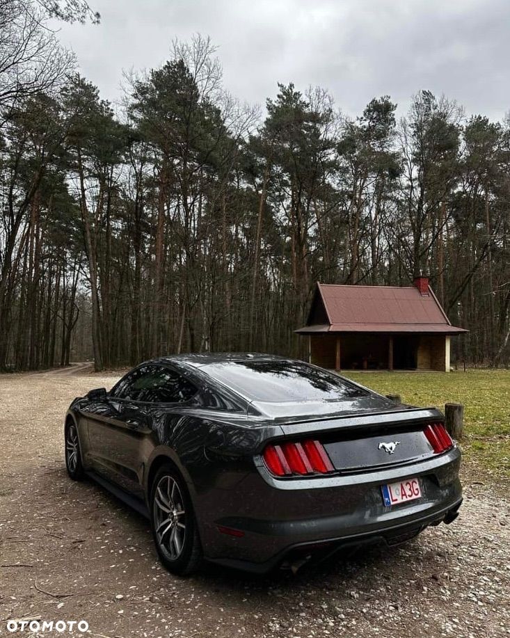 Ford Mustang 2.3 EcoBoost - 4