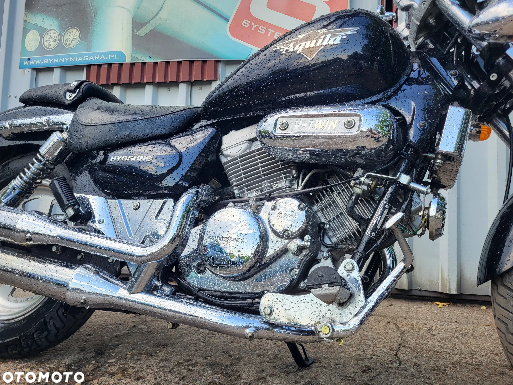 Honda Shadow - 5