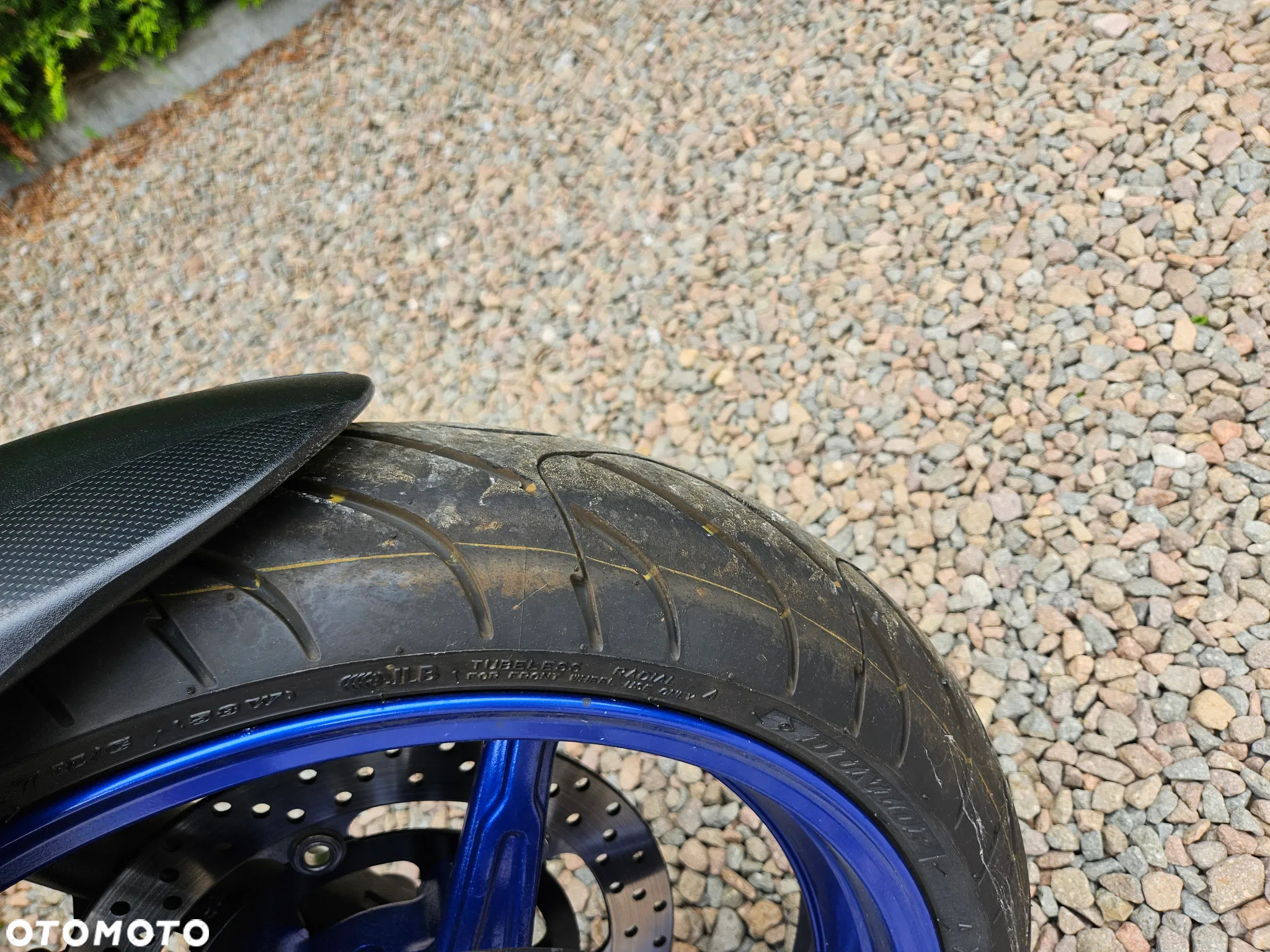 Suzuki SV - 11