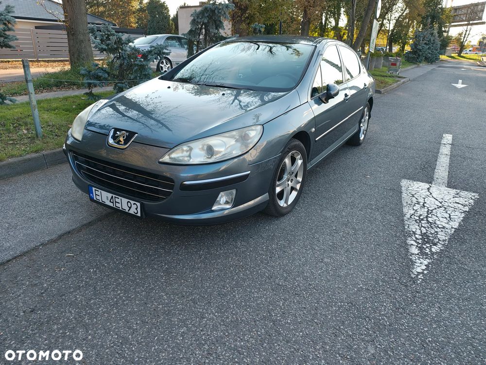 Peugeot 407 - 6