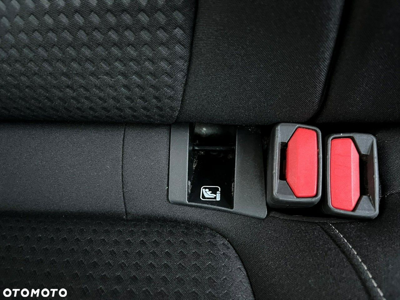 Ford Focus - 13