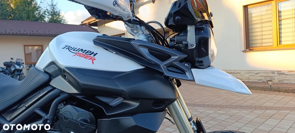 Triumph Tiger - 28