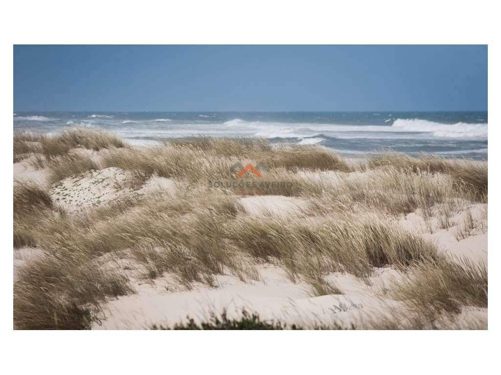 Lote de terreno em São Jacinto junto á Ria! - Grande imagem: 4/5