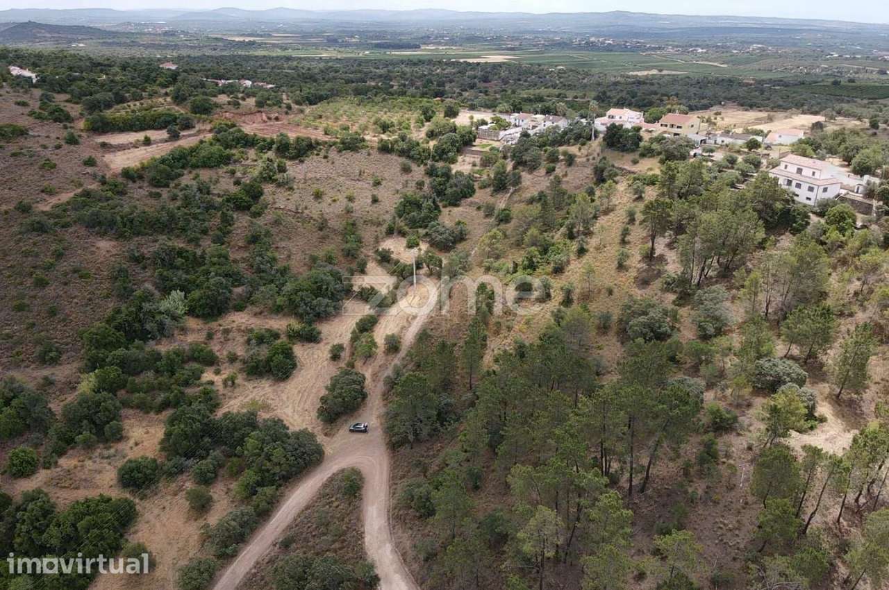 Terreno Rústico com 4.920m2 em Vilarinho, Messines - Grande imagem: 4/18