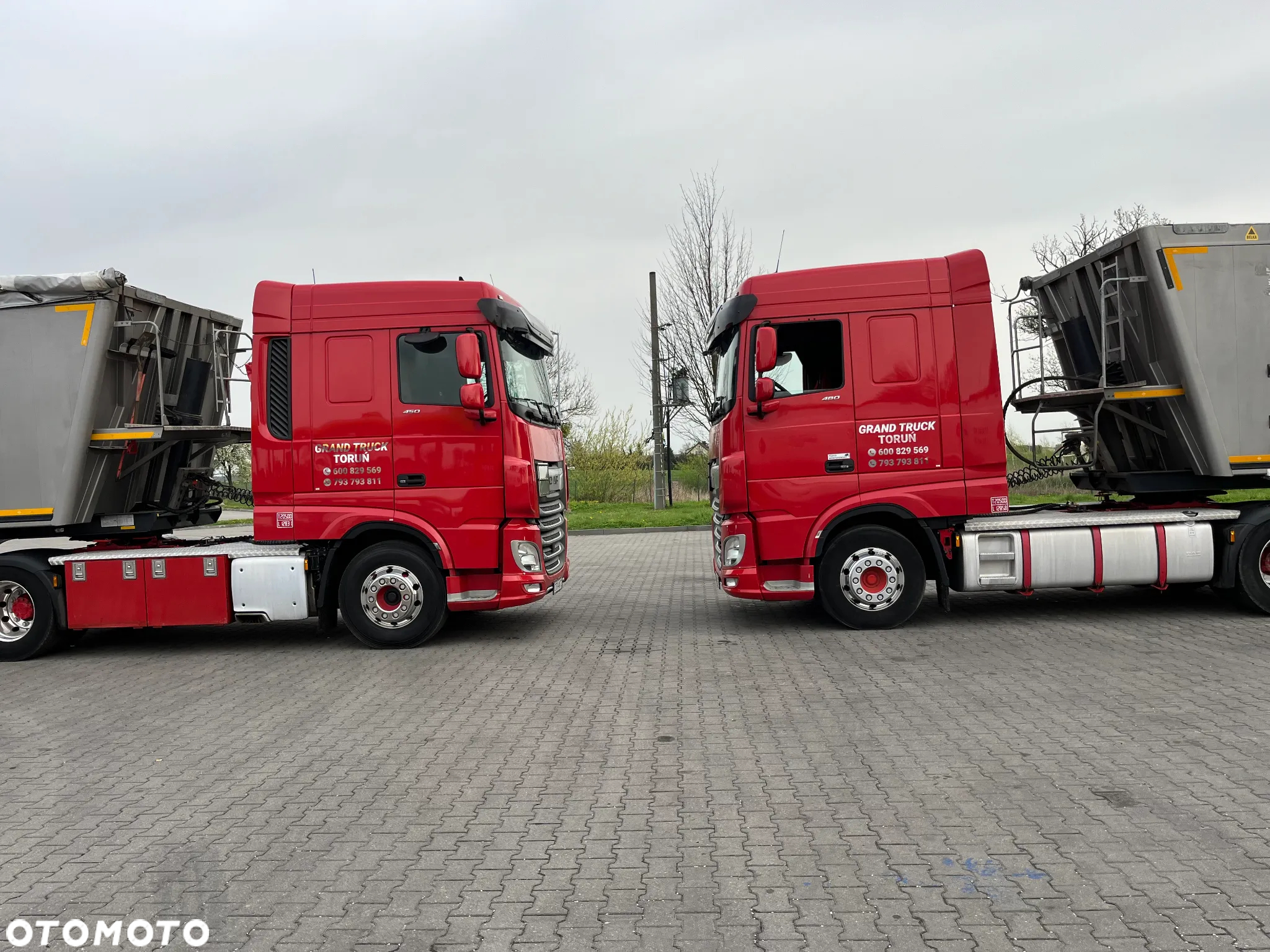 Bodex - 7