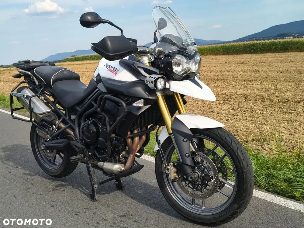Triumph Tiger - 20
