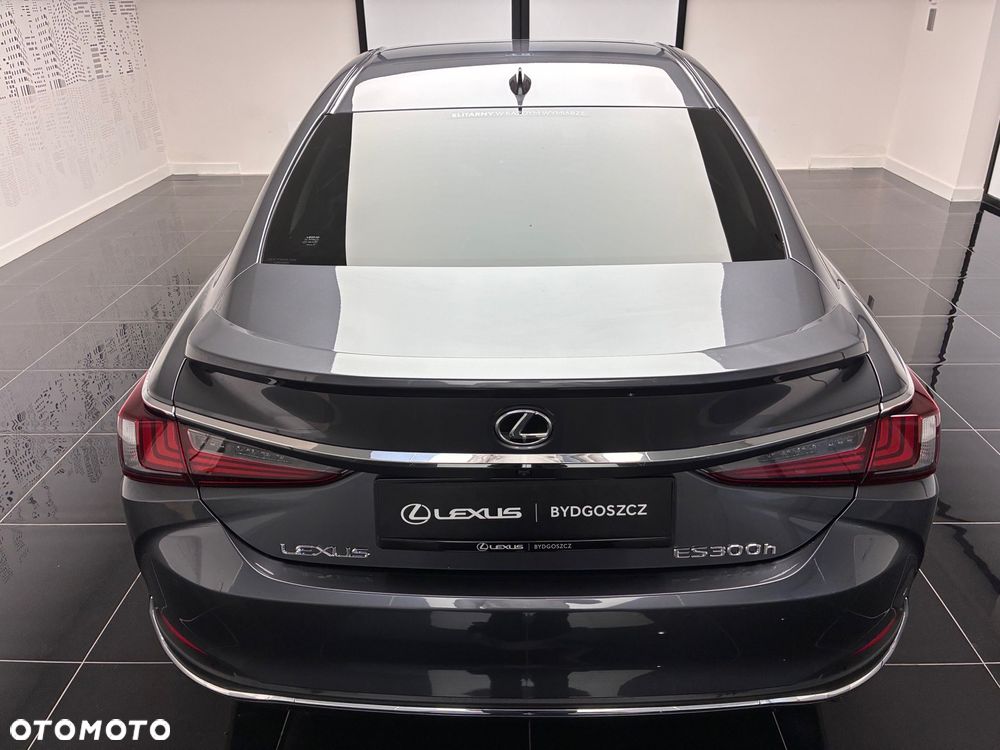 Lexus ES 300h Omotenashi - 19