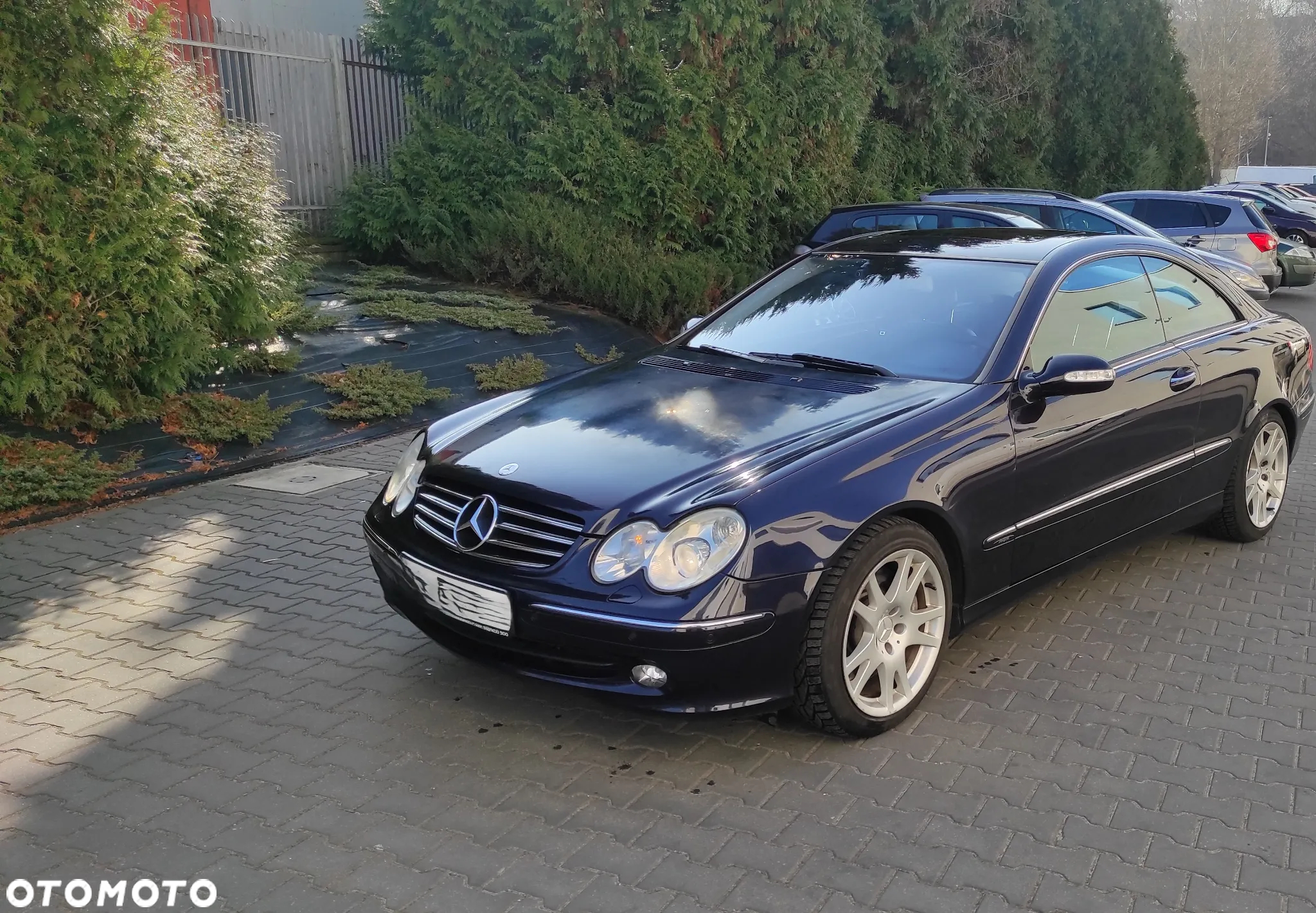 Mercedes-Benz CLK Coupe 500 Avantgarde - 2