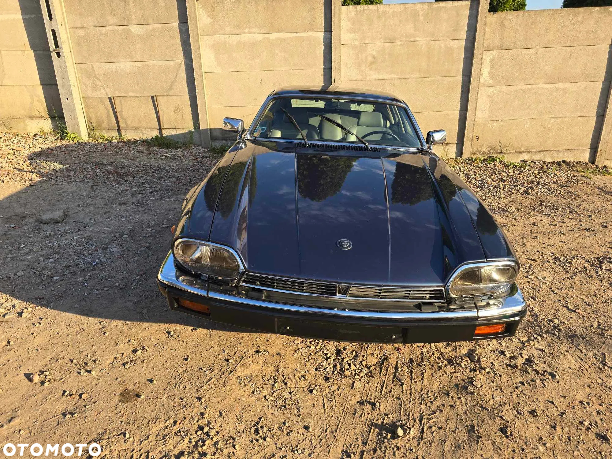 Jaguar XJS - 18