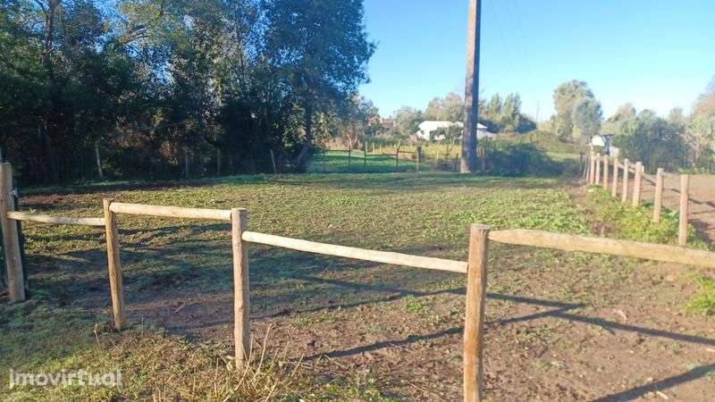 5.000 m2 a 300m do açude em Coimbra com infraestruturas para cavalos - Grande imagem: 5/8