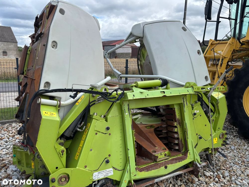 Claas Jaguar 950 - 16