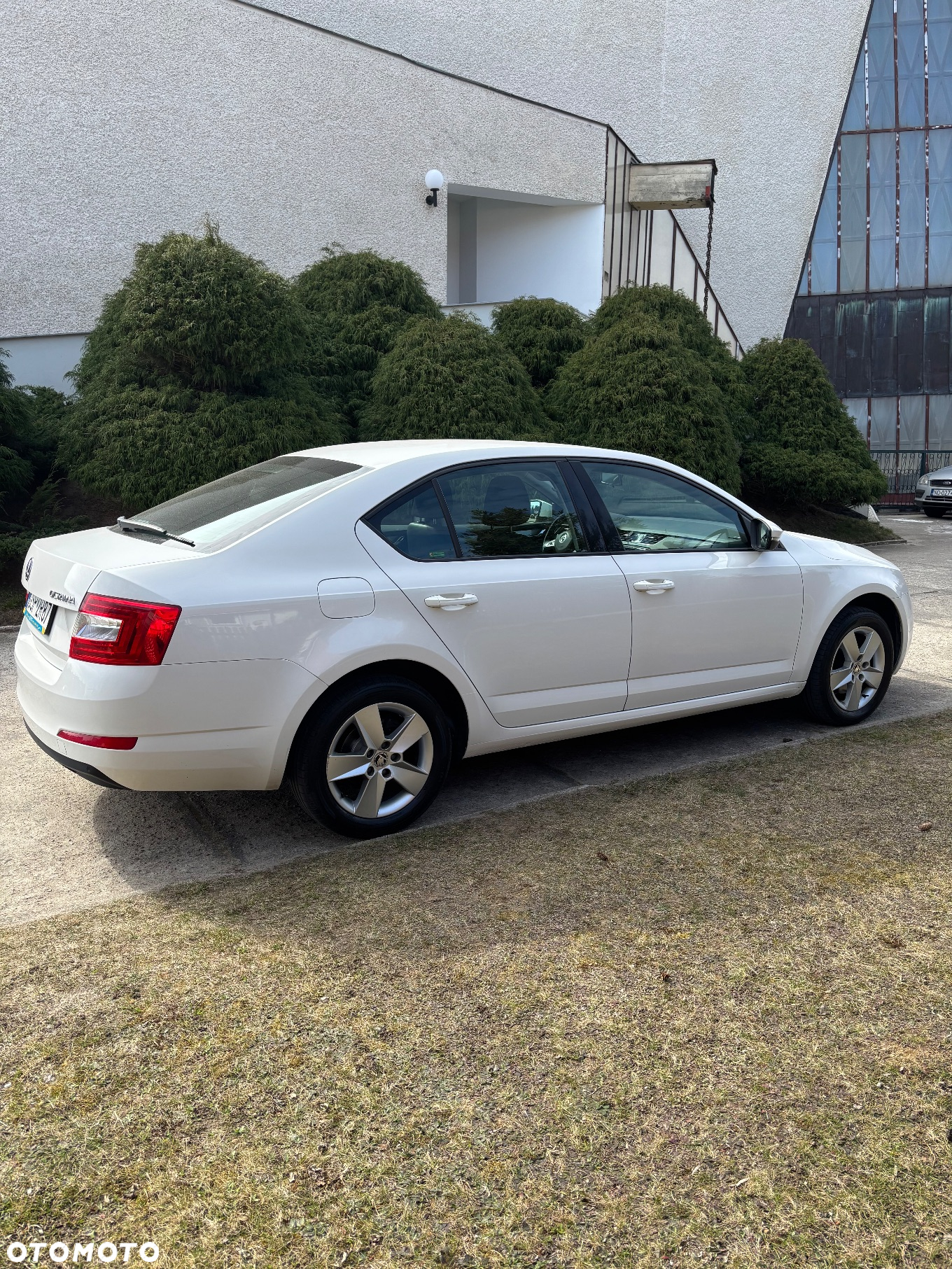 Skoda Octavia 1.4 TSI Ambition - 5