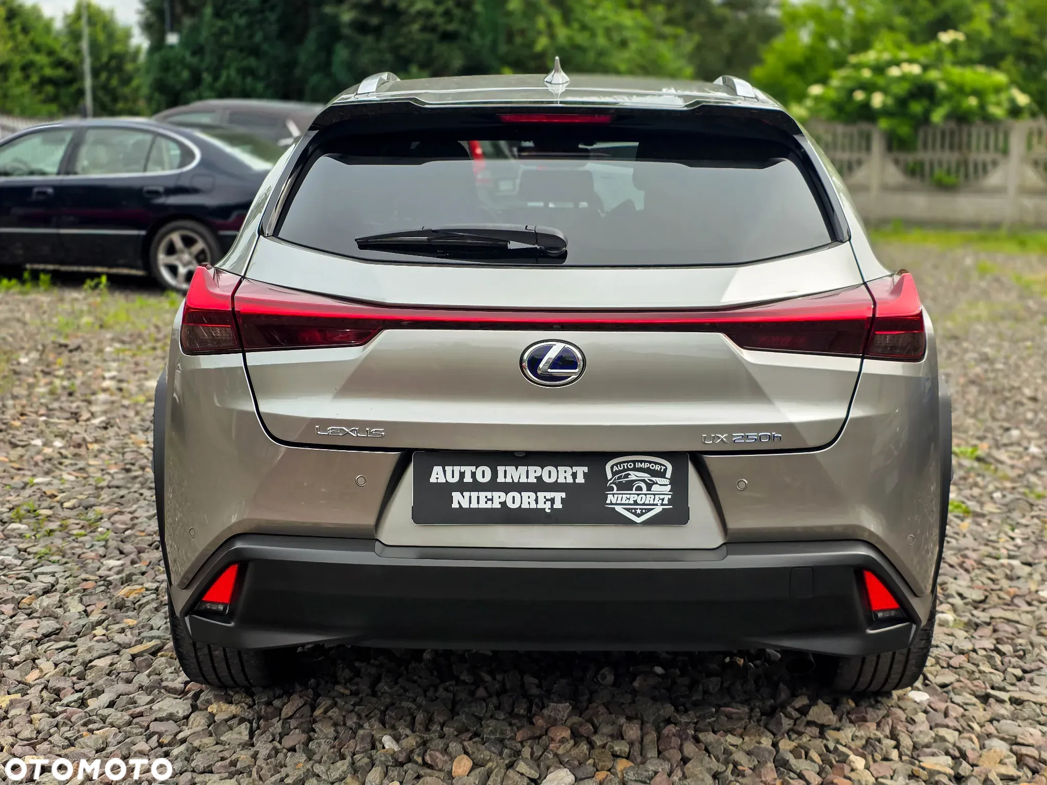Lexus UX 250h Prestige 2WD - 36
