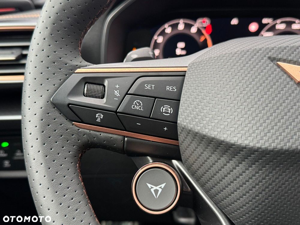 Cupra Formentor 2.0 TSI 4Drive DSG - 25