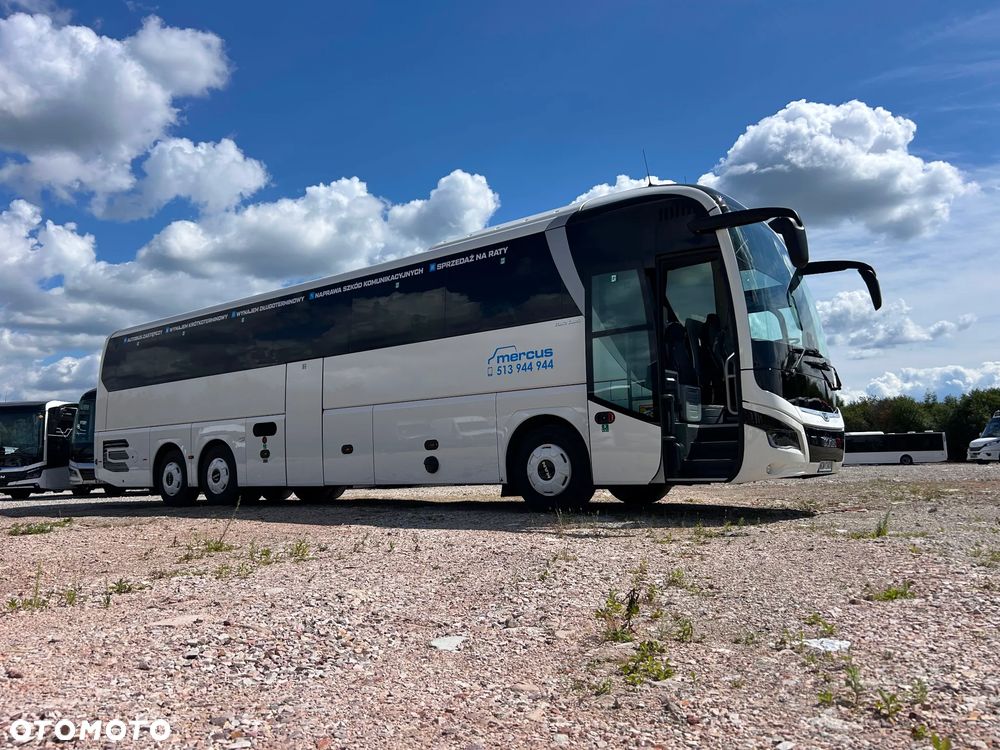 MAN Lions Coach - 2