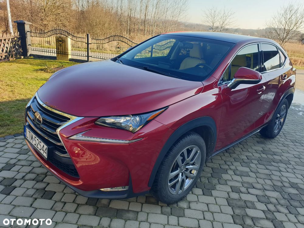 Lexus NX - 25