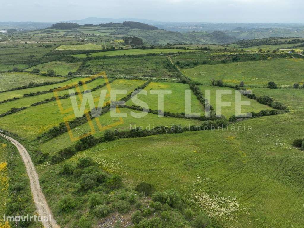 Terreno Rústico com 17000m2 - Agroflorestal e agrícola - Com curso ... - Grande imagem: 3/12