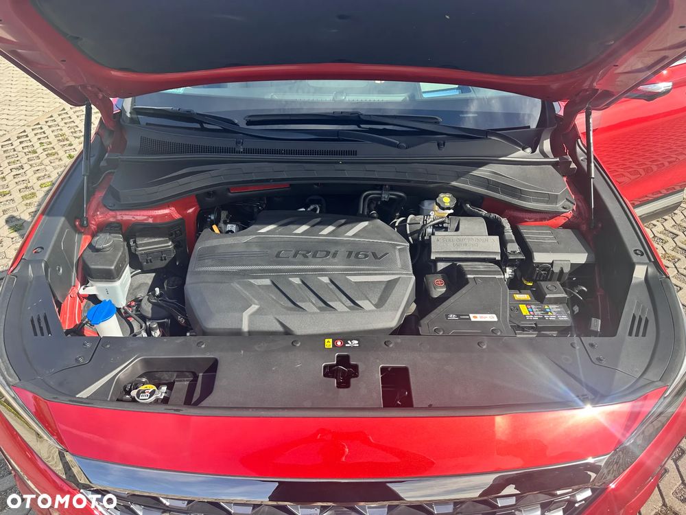 Hyundai Santa Fe 2.0 CRDi Platinum 4WD - 28