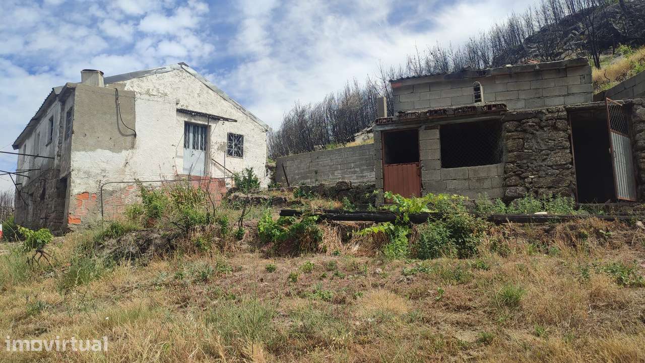 Quinta em Valezim- Seia - Grande imagem: 5/11