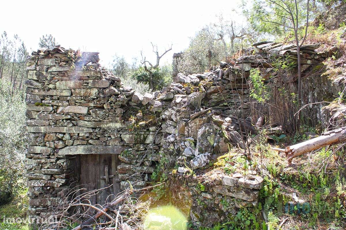 Imóvel Rural - Grande imagem: 2/24