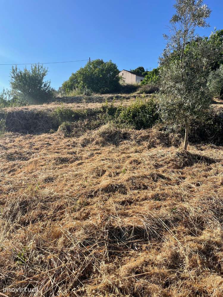 Terreno em Carreira Mato, Aldeia do mato - Grande imagem: 5/8