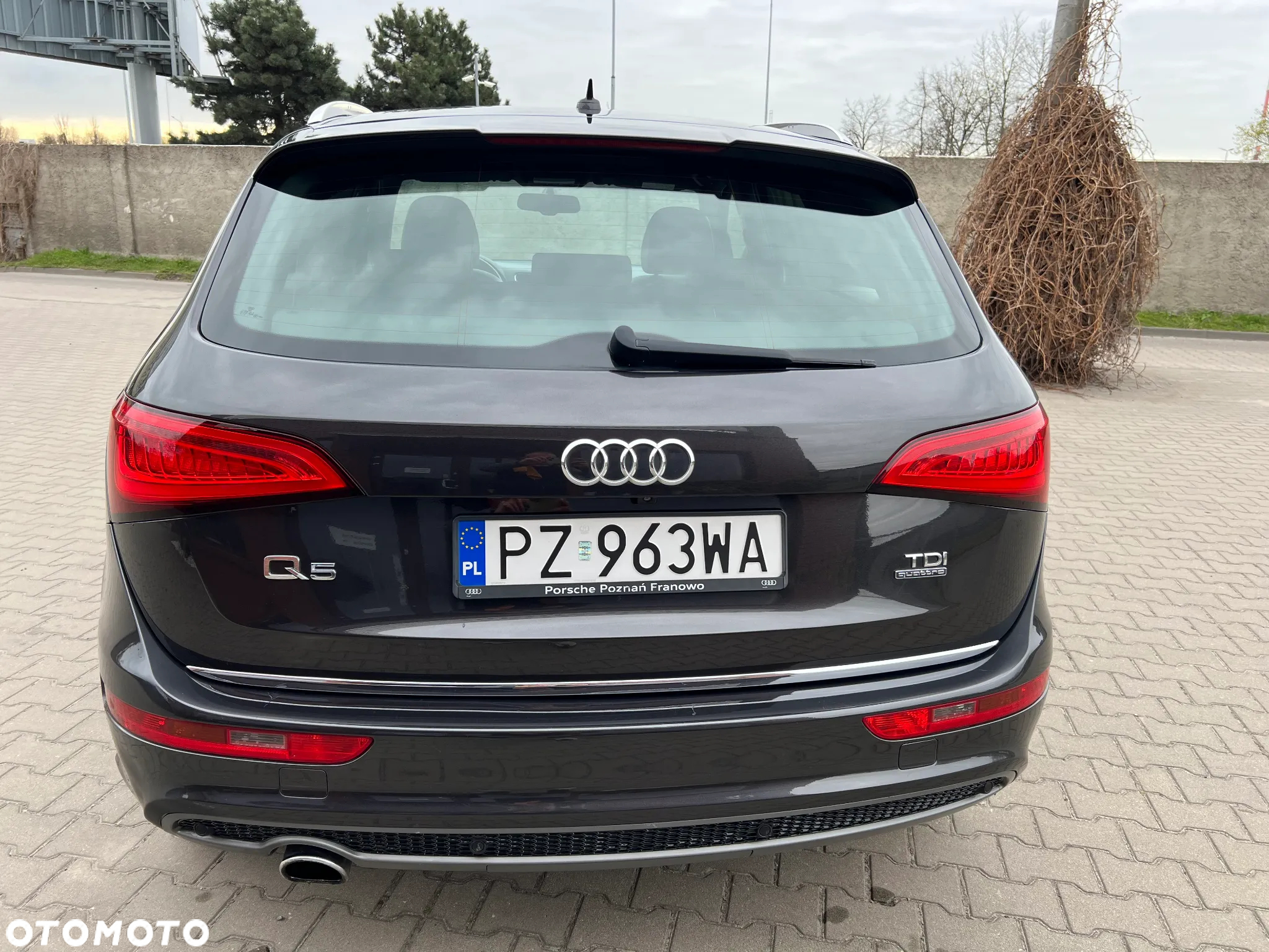 Audi Q5 2.0 TDI clean diesel Quattro S tronic - 8