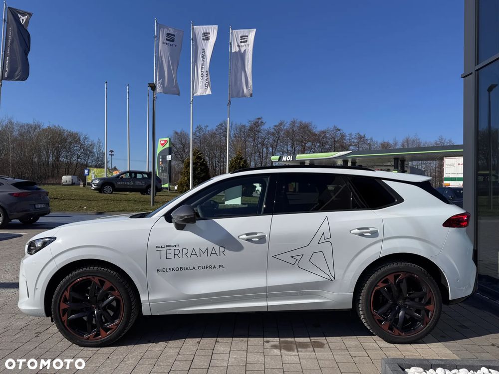 Cupra Terramar - 29