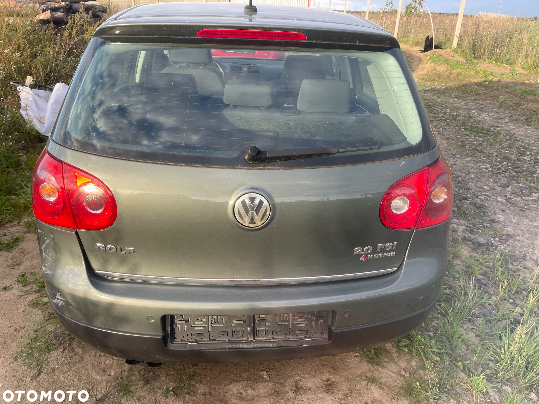 Volkswagen Golf 2.0 FSI 4Motion Comfortline - 2