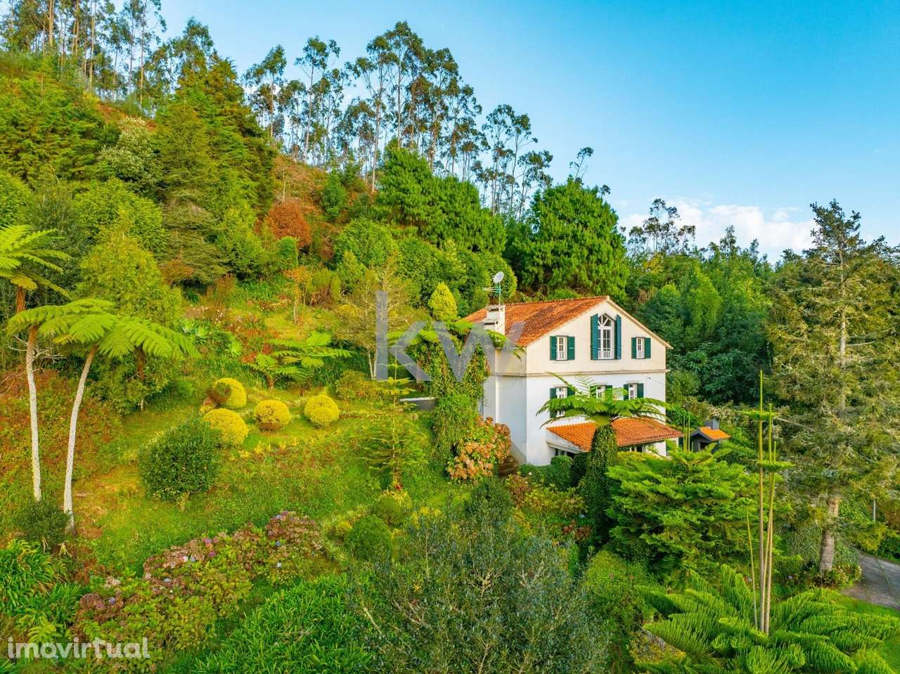 Oportunidade Imperdível de Investimento na Ilha da Madeira! - Grande imagem: 5/60