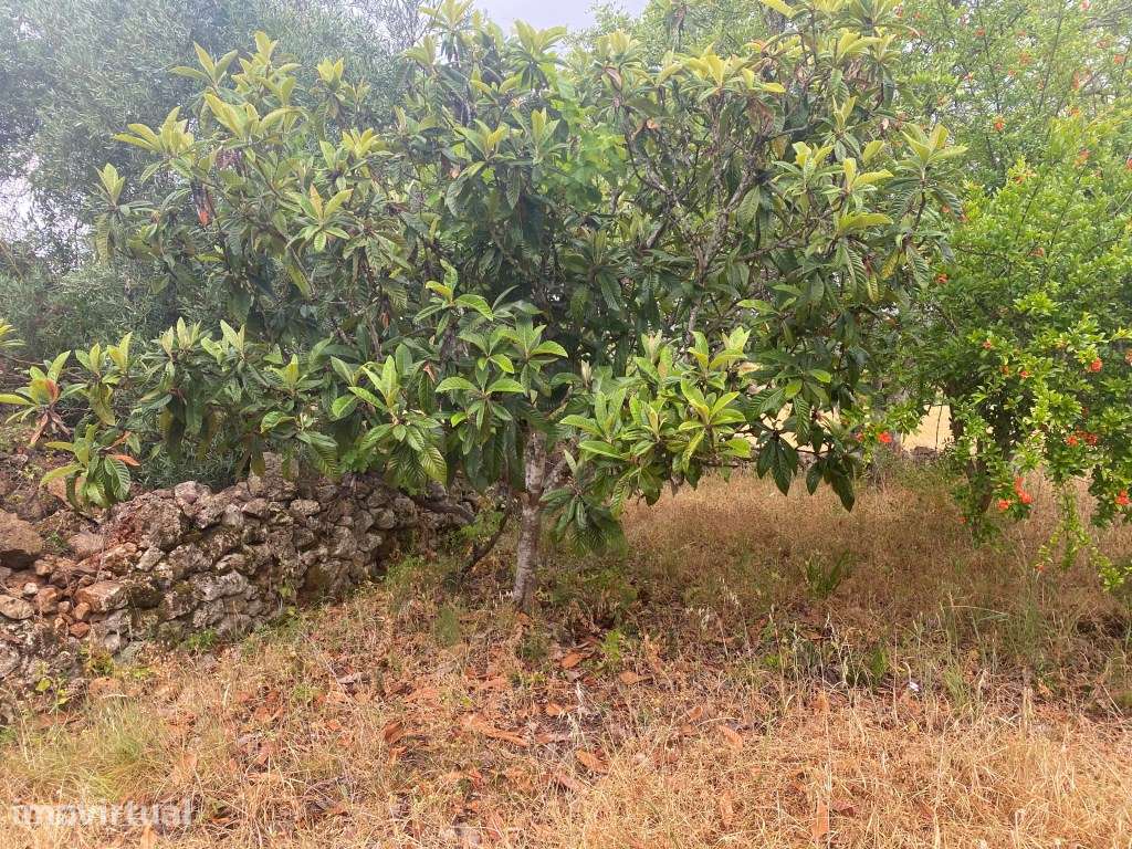 Lote de terreno rústico com a área total de 610m2, Salir, Algarve - Grande imagem: 3/9