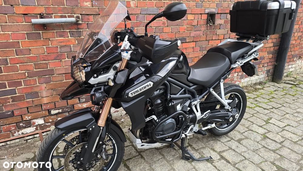 Triumph Tiger - 19