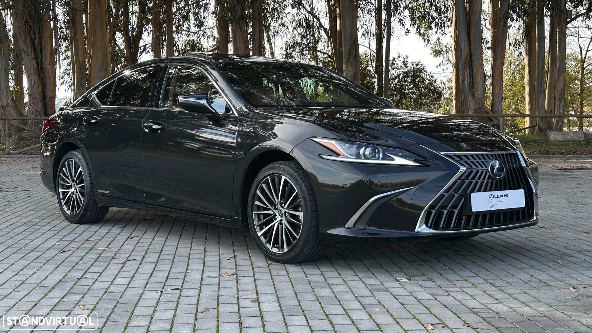 Lexus ES 300h Special Edition - 3