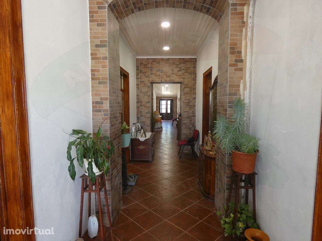 Quinta em Matos Velhos, Aljustrel, Beja - Grande imagem: 3/54