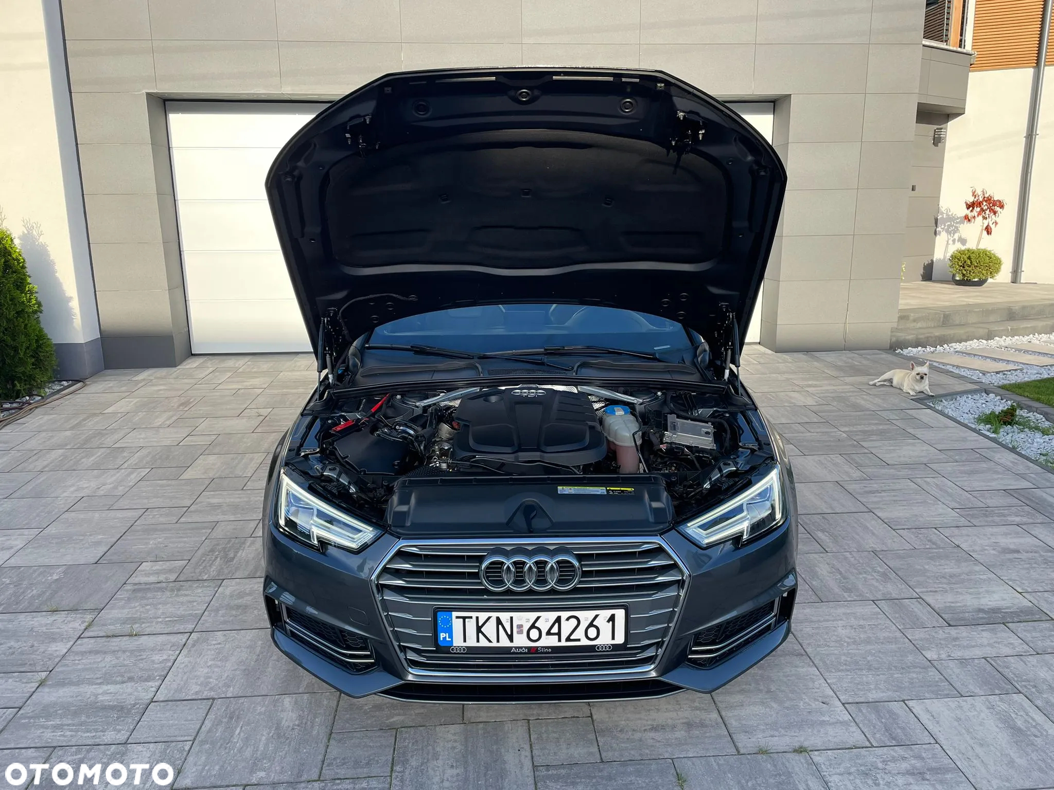Audi A4 - 13