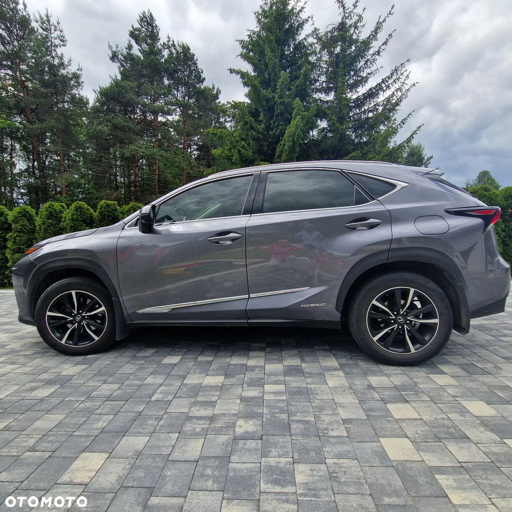 Lexus NX - 5