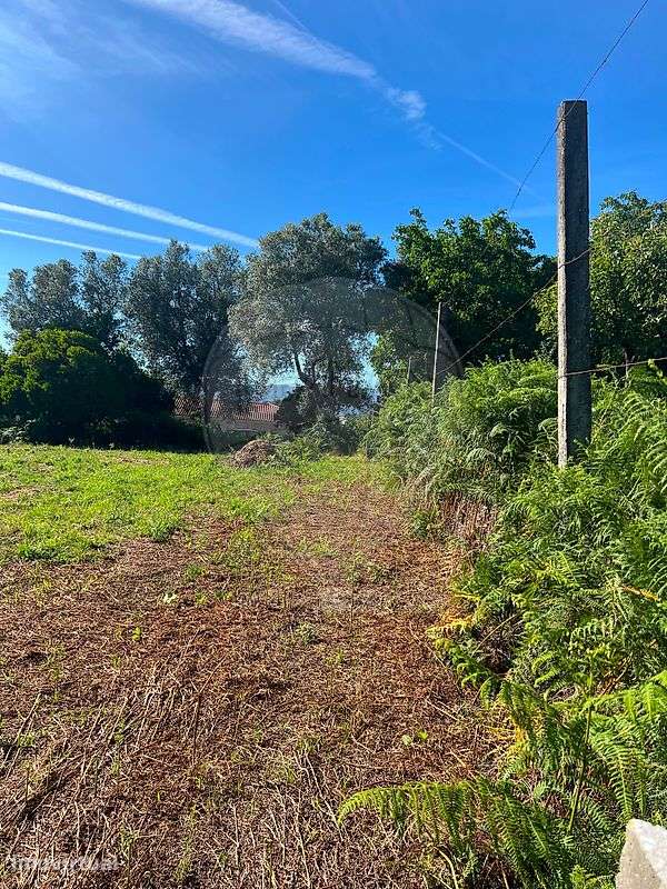 Terreno  para venda - Grande imagem: 4/6
