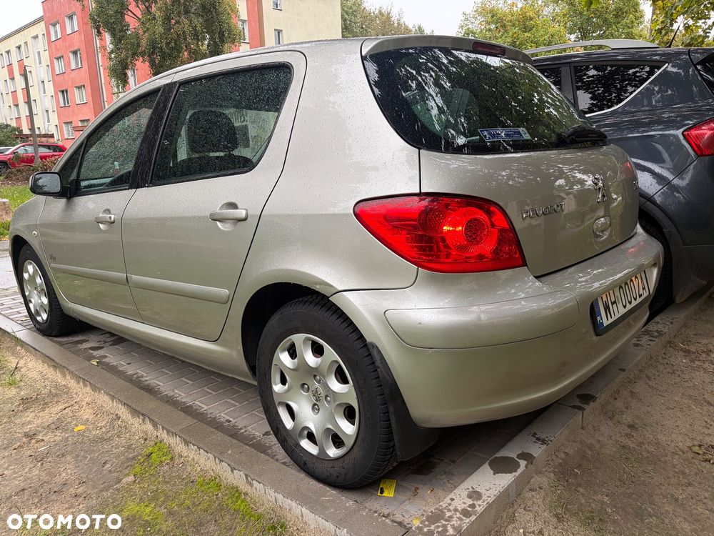 Peugeot 307 2007 photo 4