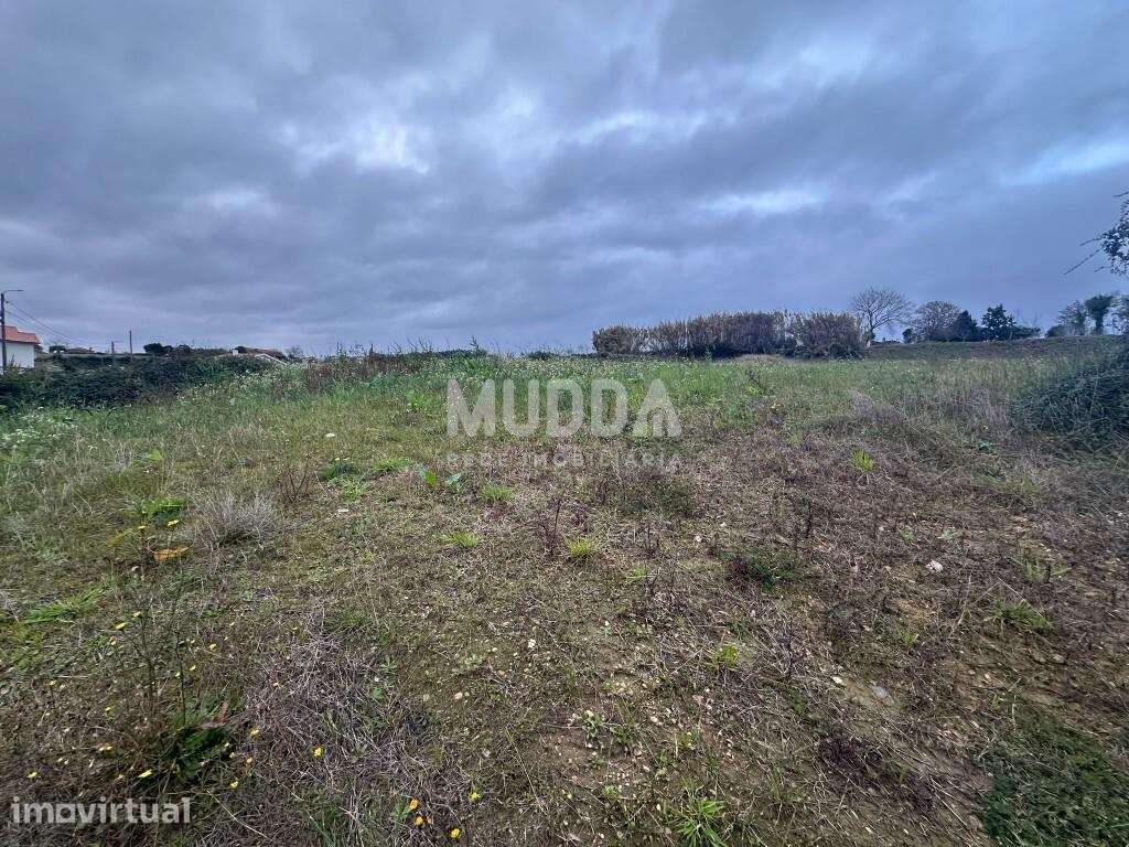 Terreno elevado com vista panorâmica desafogada, a poucos minutos d - Grande imagem: 3/7