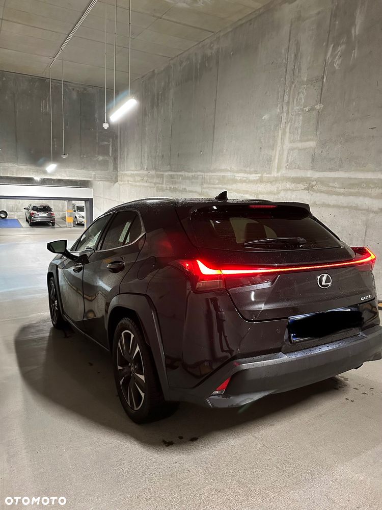 Lexus UX 200 Prestige 2WD - 7